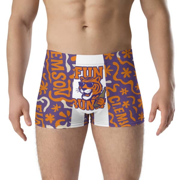 Fun Bunch Boxer Briefs - Image 3