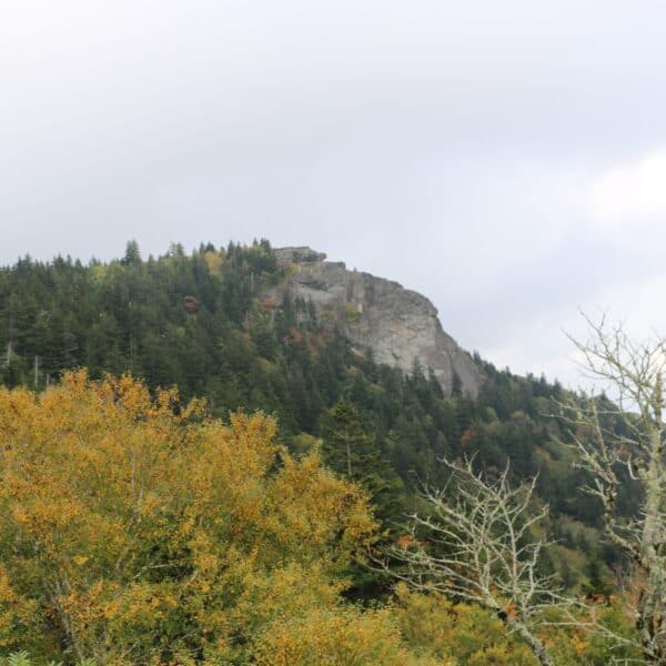 Fall leaf color season shaping up to be vibrant despite hurricane impacts