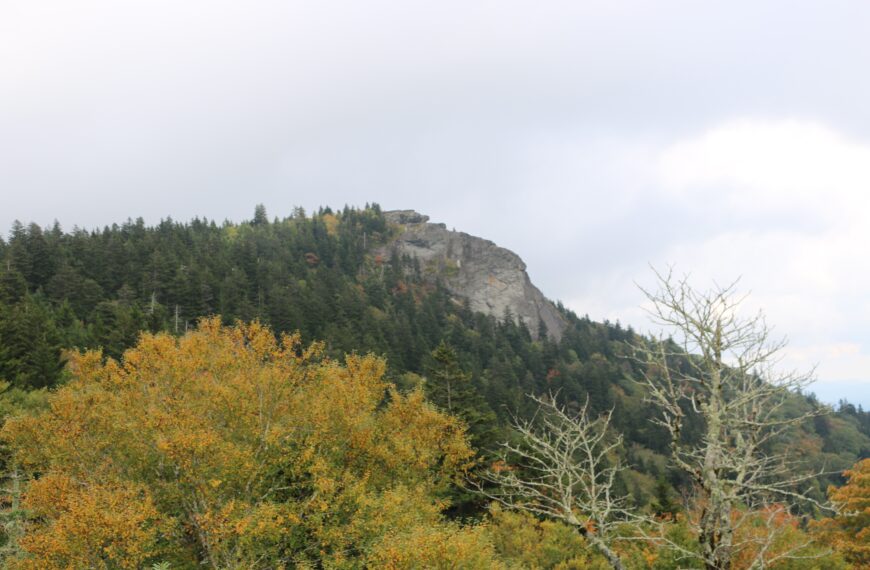 Fall leaf color season shaping up to be vibrant despite hurricane impacts